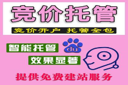 SEM代理服务：案例对比，效果哪家更胜一筹